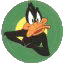 Avatar de Usuario